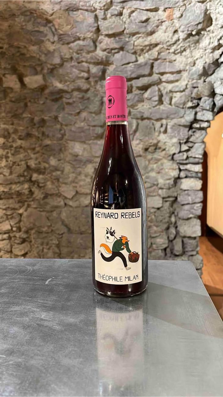 Reynard Rebels - Domaine Milan - Emma, Théophile & Henri Milan 