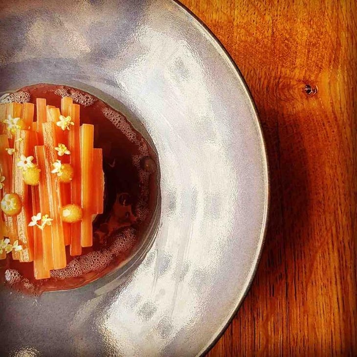 Rhubarbe De La Hautière / Sureau - Pickles - 666748