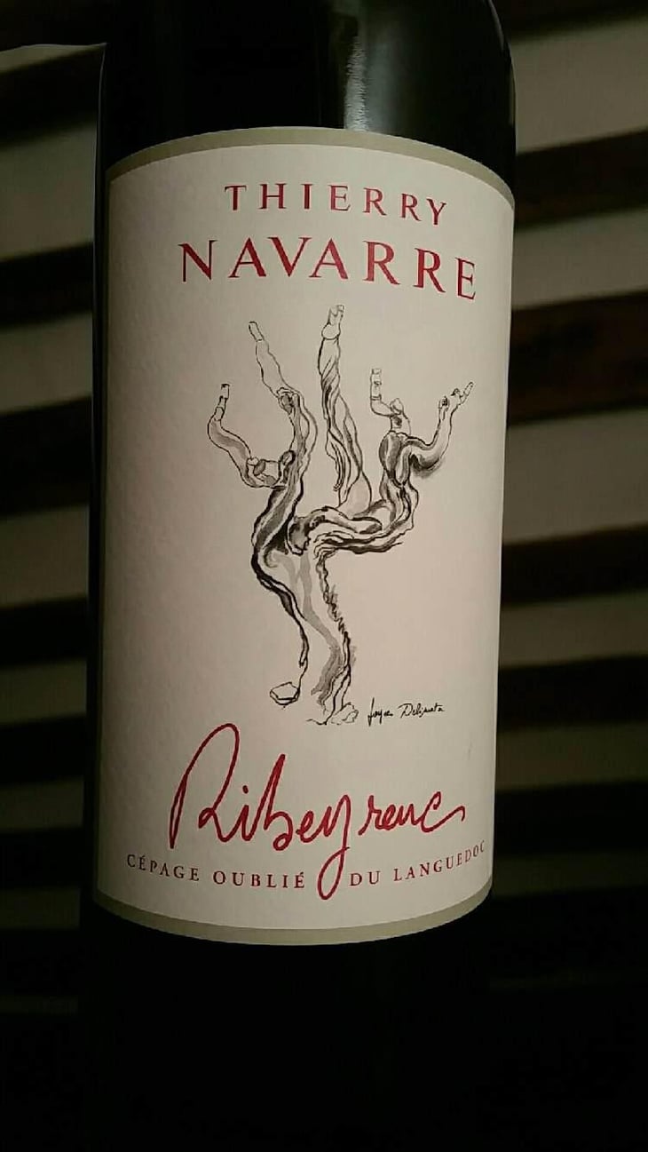 Ribeyrenc - Thierry Navarre - Thierry Navarre 
