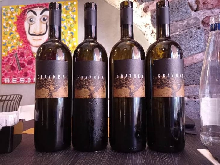 Ribolla - Azienda Agricola Gravner Francesco - Josko Gravner 