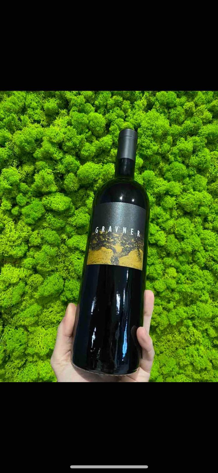 Ribolla - Azienda Agricola Gravner Francesco - Josko Gravner 