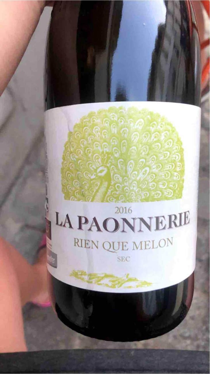 Rien Que Melon - La Paonnerie - Marie Carroget 