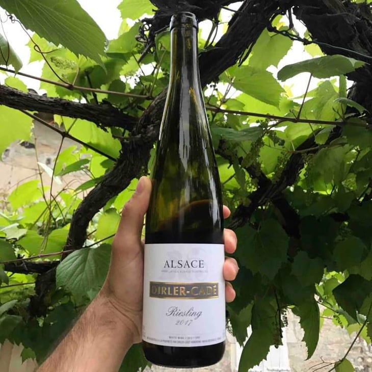 Riesling - Dirler-Cadé - Jean & Ludivine Dirler 