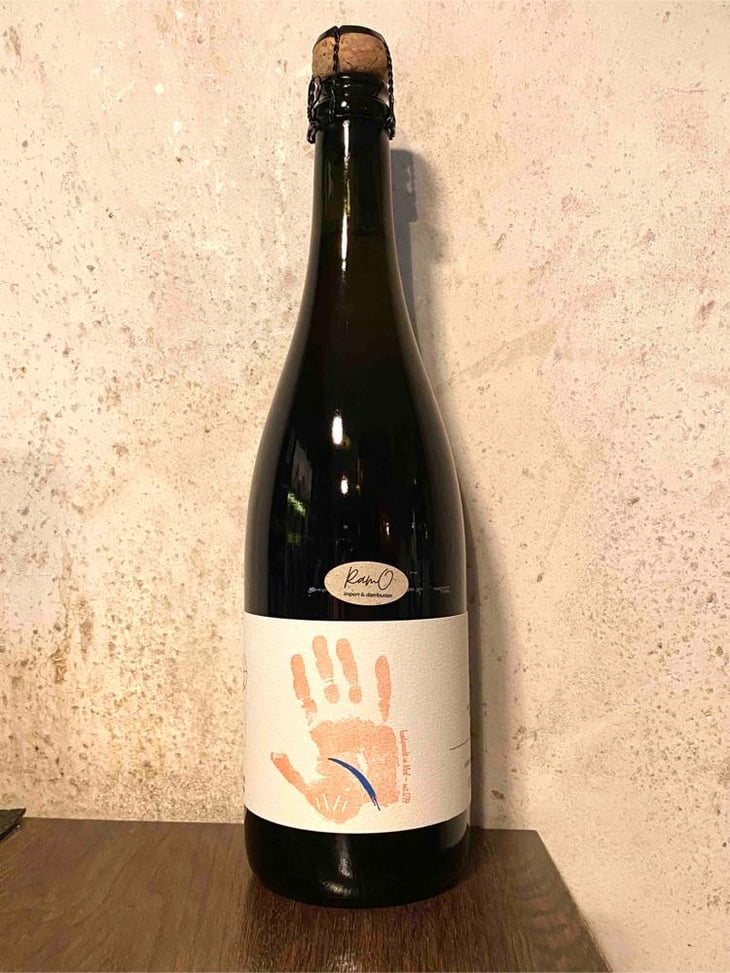 Riesling brut nature - Wagner von wohlgemuthheim - Wagner von Wohlgemuthheim 