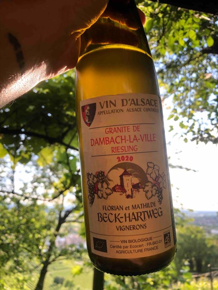 Riesling Dambach - Florian & Mathilde Beck-Hartweg - Florian & Mathilde Beck-Hartweg 
