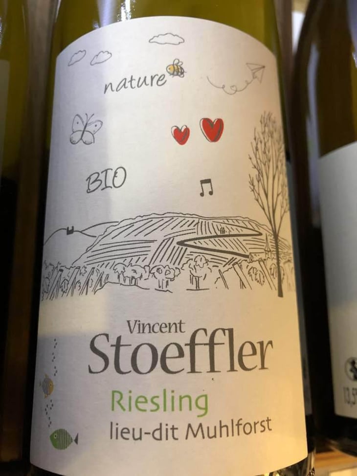 Riesling - Domaine Vincent Stoeffler - Vincent & Adrien Stoeffler 