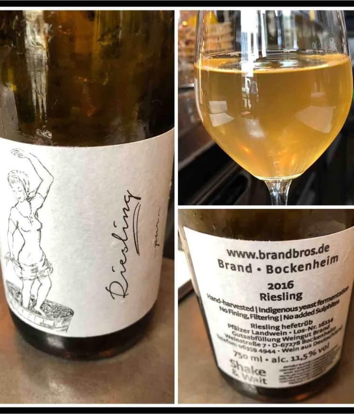 Riesling - Brand Bros - Weingut Brand - Daniel & Jonas Brand 