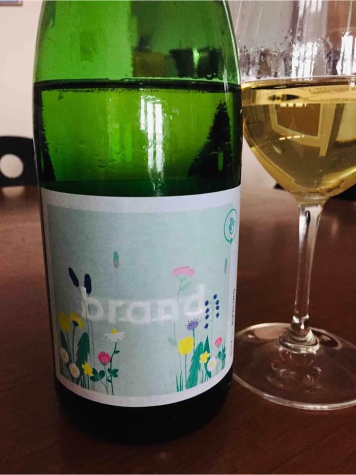 Riesling - Brand Bros - Weingut Brand - Daniel & Jonas Brand 