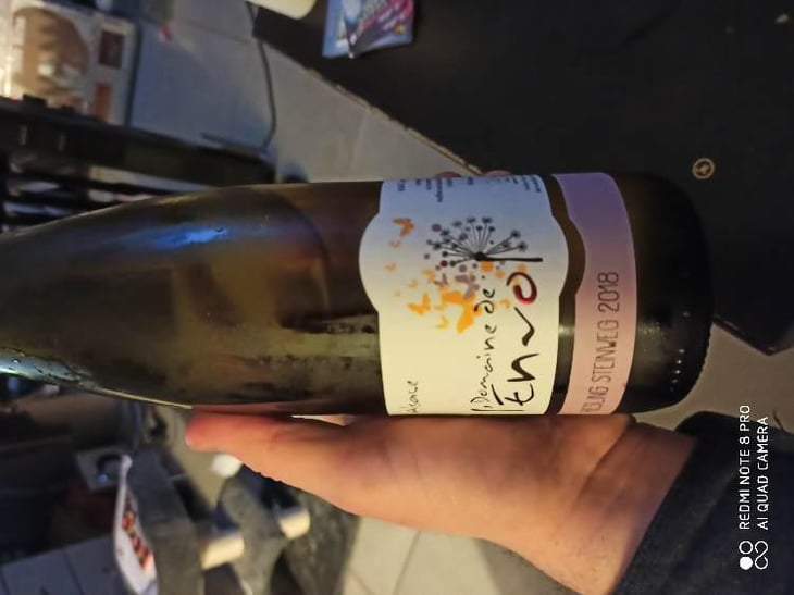 Riesling Steinweg - Domaine De L’envol - Bernard, Manuela, Daniel, Raphaël & Catherine Hirsinger 
