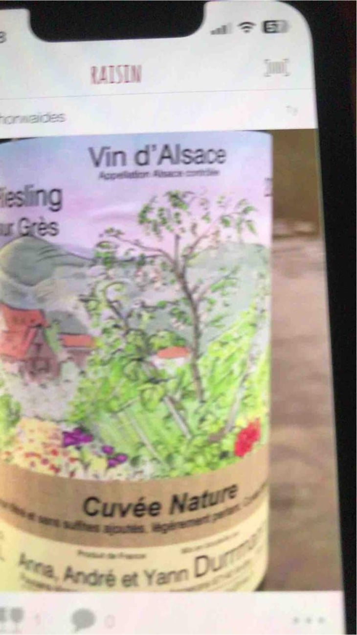 Riesling Sur Grès - Anna, André & Yann Durrmann - Anna, André & Yann Durrmann 