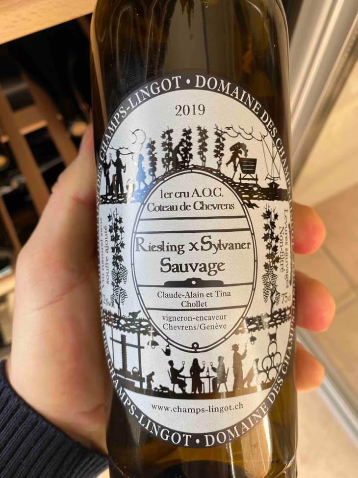 Riesling X Sylvaner Sauvage - Domaine des Champs-Lingots - Claude-Alain Chollet 