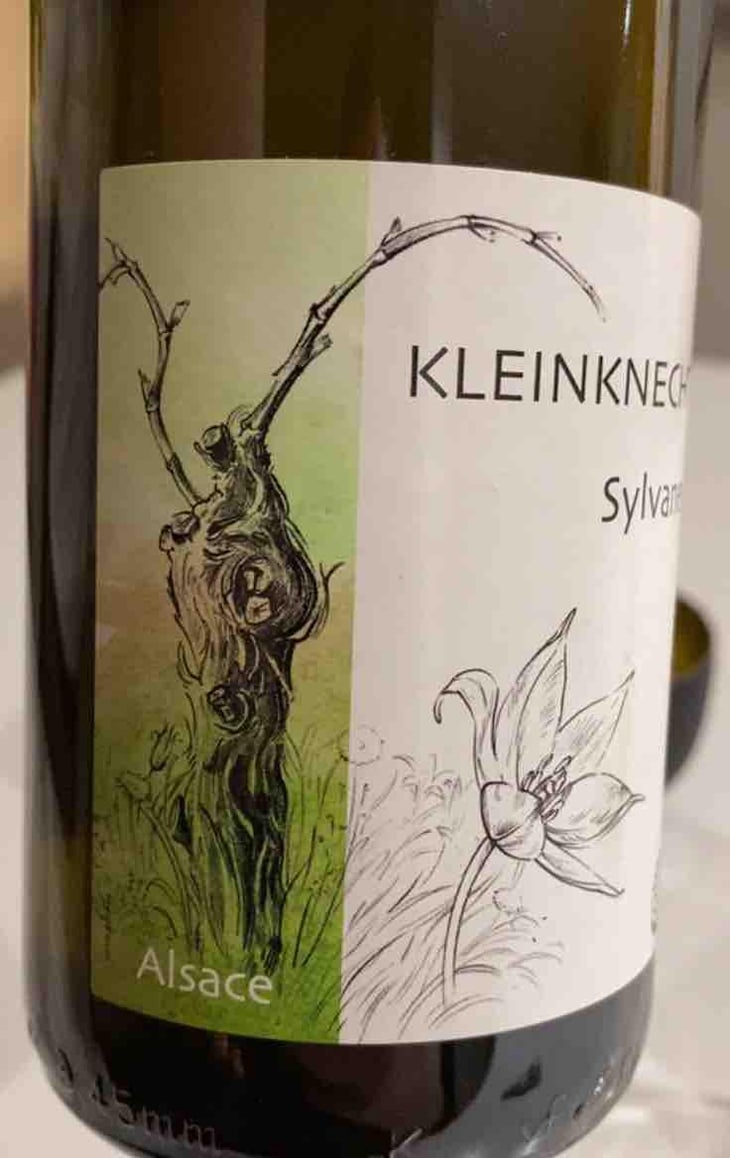 Riesling - Domaine Kleinknecht - André Kleinknecht 
