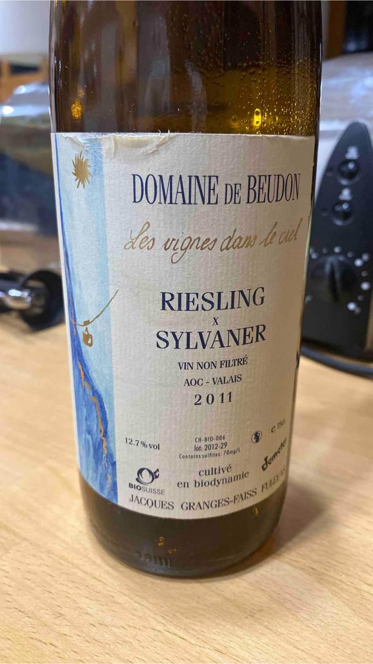 Riesling X Sylvaner - Domaine de Beudon - Marion Granges-Fayss 