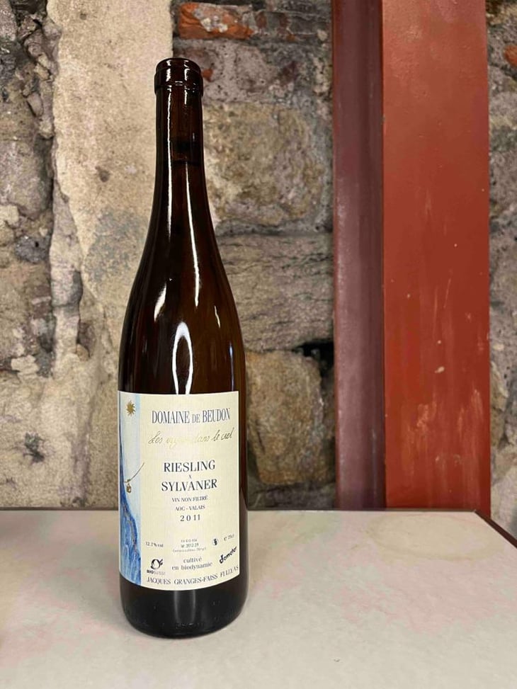 Riesling X Sylvaner - Domaine de Beudon - Marion Granges-Fayss 