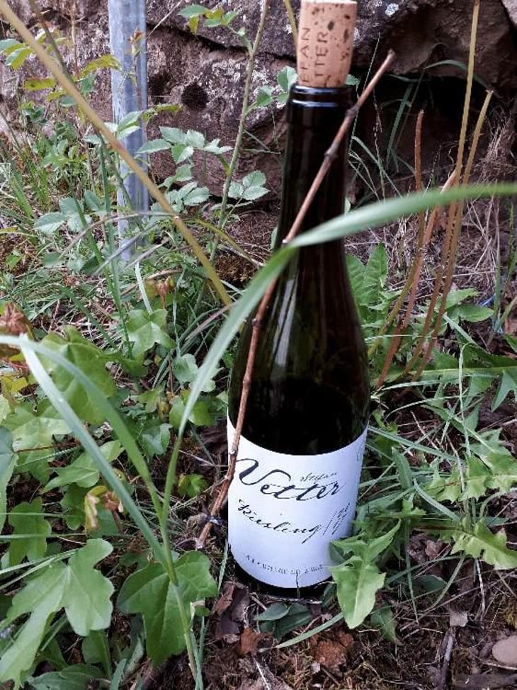 Riesling - In Vino Vita - Stefan Vetter 