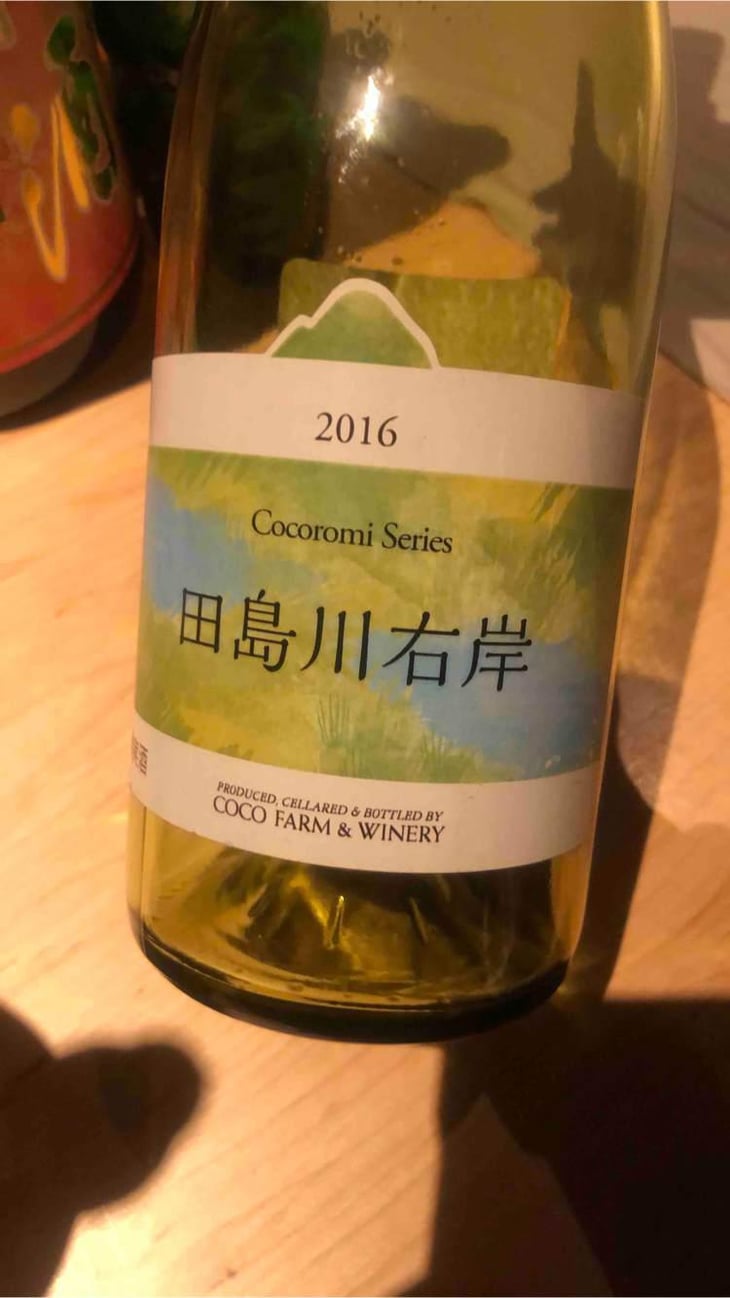 田島川右岸 Tajimagawa Ugan - Coco Farm & Winery - Romain Weinstock & Toyoichiro Shibata -2021