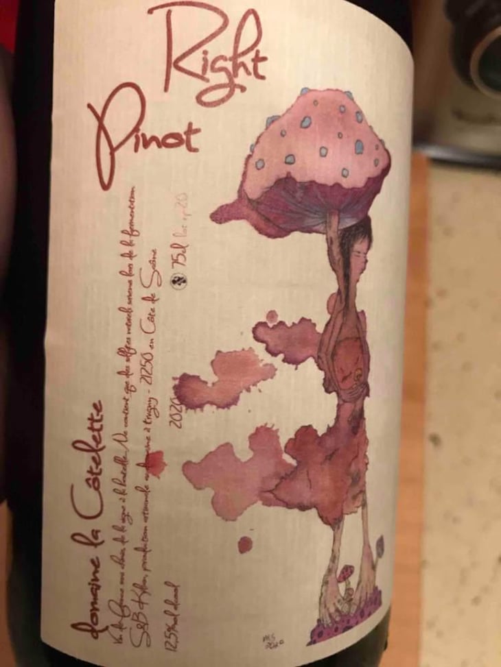 Right Pinot - Domaine de la Côtelette - Sandra et Benoît Kilian 