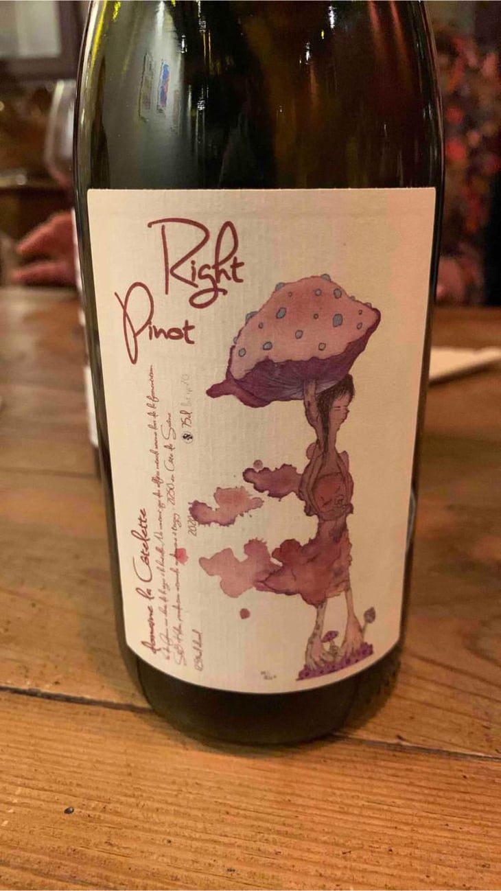 Right Pinot - Domaine de la Côtelette - Sandra et Benoît Kilian 