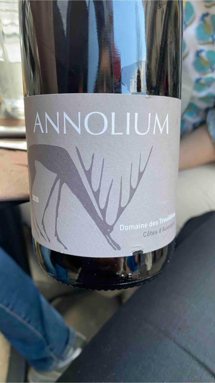 Annolium Rouge - Domaine Des Trouillères - Camille & Mikael Hyvert 
