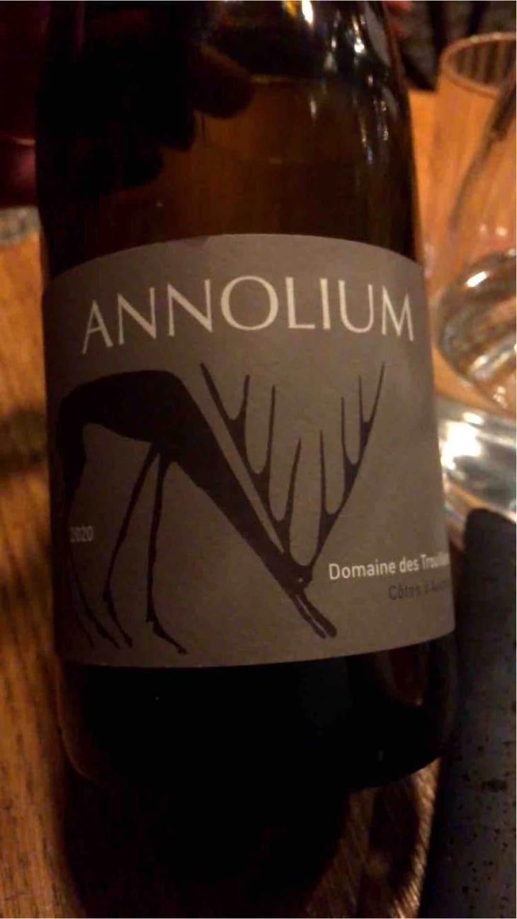 Annolium Rouge - Domaine Des Trouillères - Camille & Mikael Hyvert 
