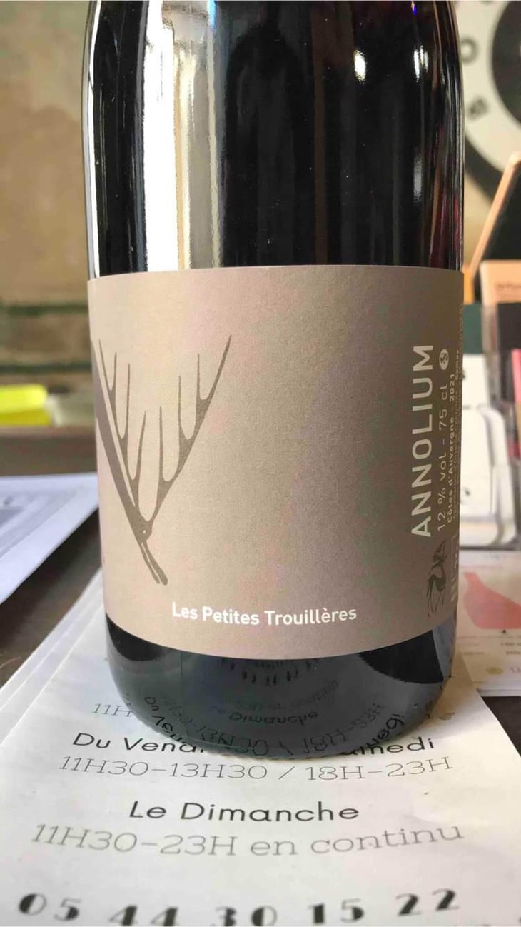 Annolium Rouge - Domaine Des Trouillères - Camille & Mikael Hyvert 