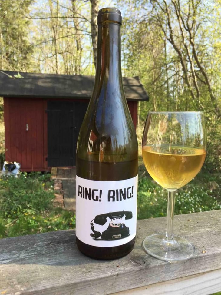 Ring Ring - Barranco Oscuro - Manuel & Lorenzo Valenzuela 