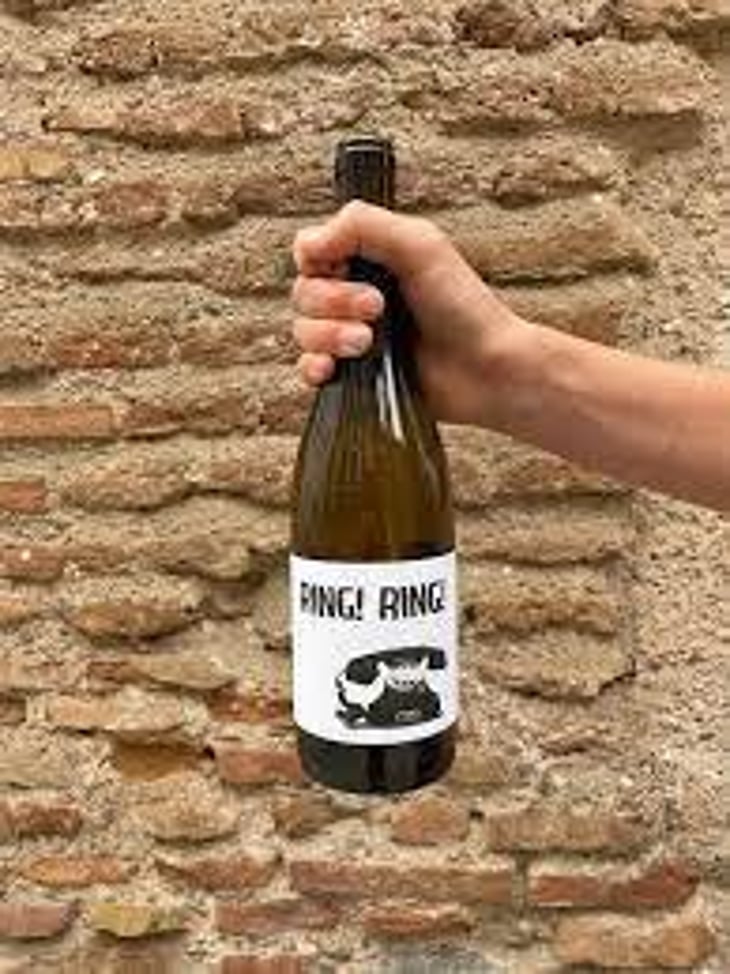 Ring Ring - Barranco Oscuro - Manuel & Lorenzo Valenzuela 