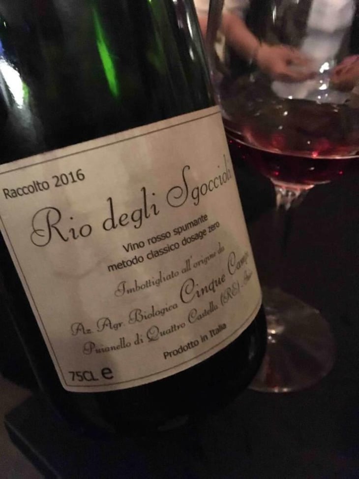 Rio degli Sgoccioli - Cinque Campi - Vanni Nizzoli 