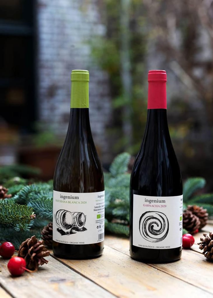 Rioja Ingenium Maturana Blanca - Viñedos Ruiz Jiménez - Ruiz Jiménez 