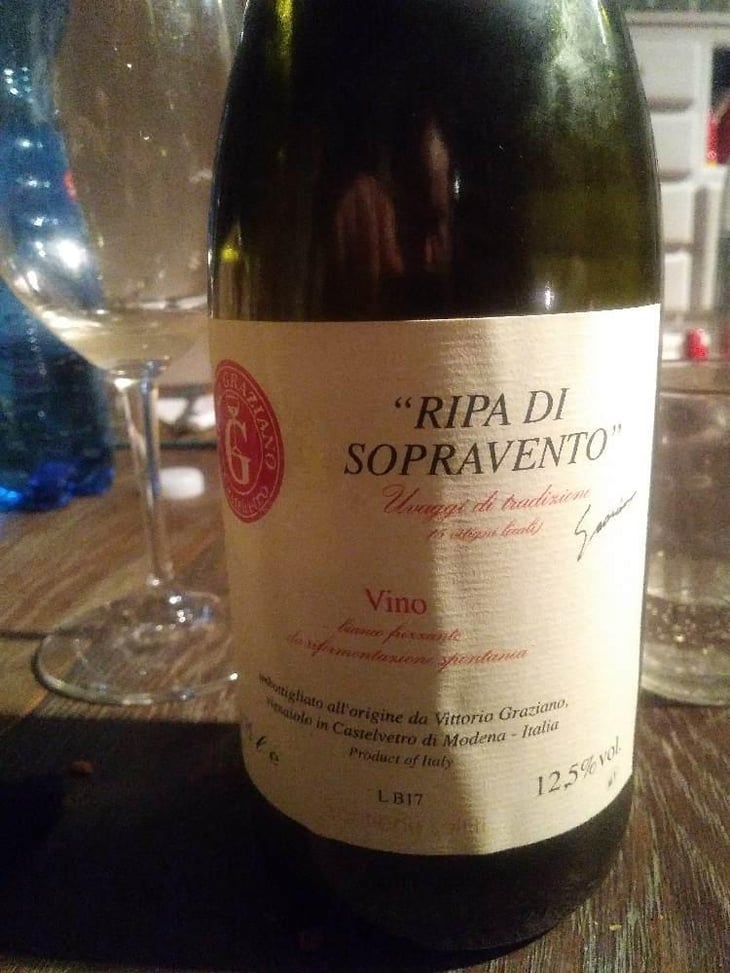 Ripa di Sopravento - Fontana dei Boschi - Vittorio Graziano 