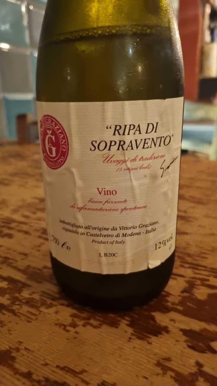 Ripa di Sopravento - Fontana dei Boschi - Vittorio Graziano 