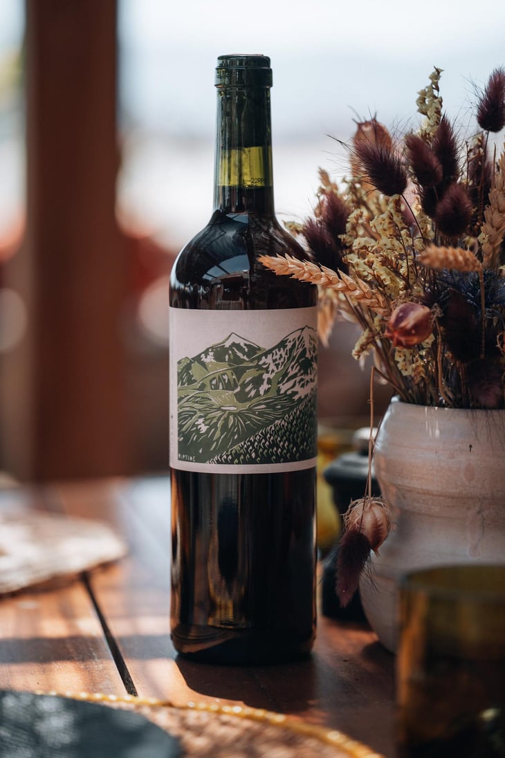Riptide - Domaine Cotzé - Wilfried Garcia -2021