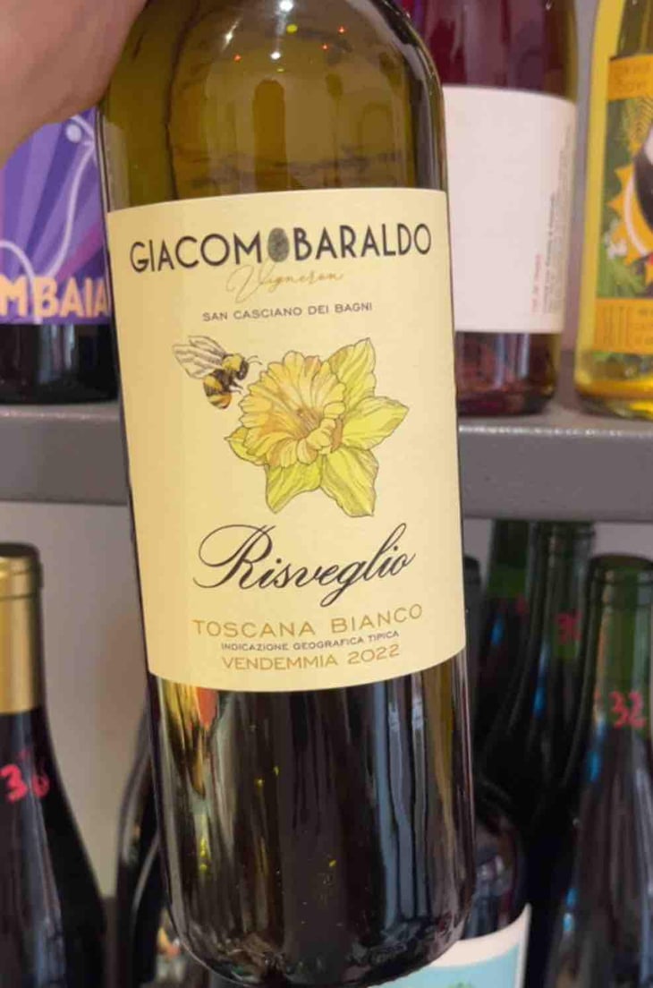 Risveglio - Giacomo baraldo - Giacomo Baraldo -2022