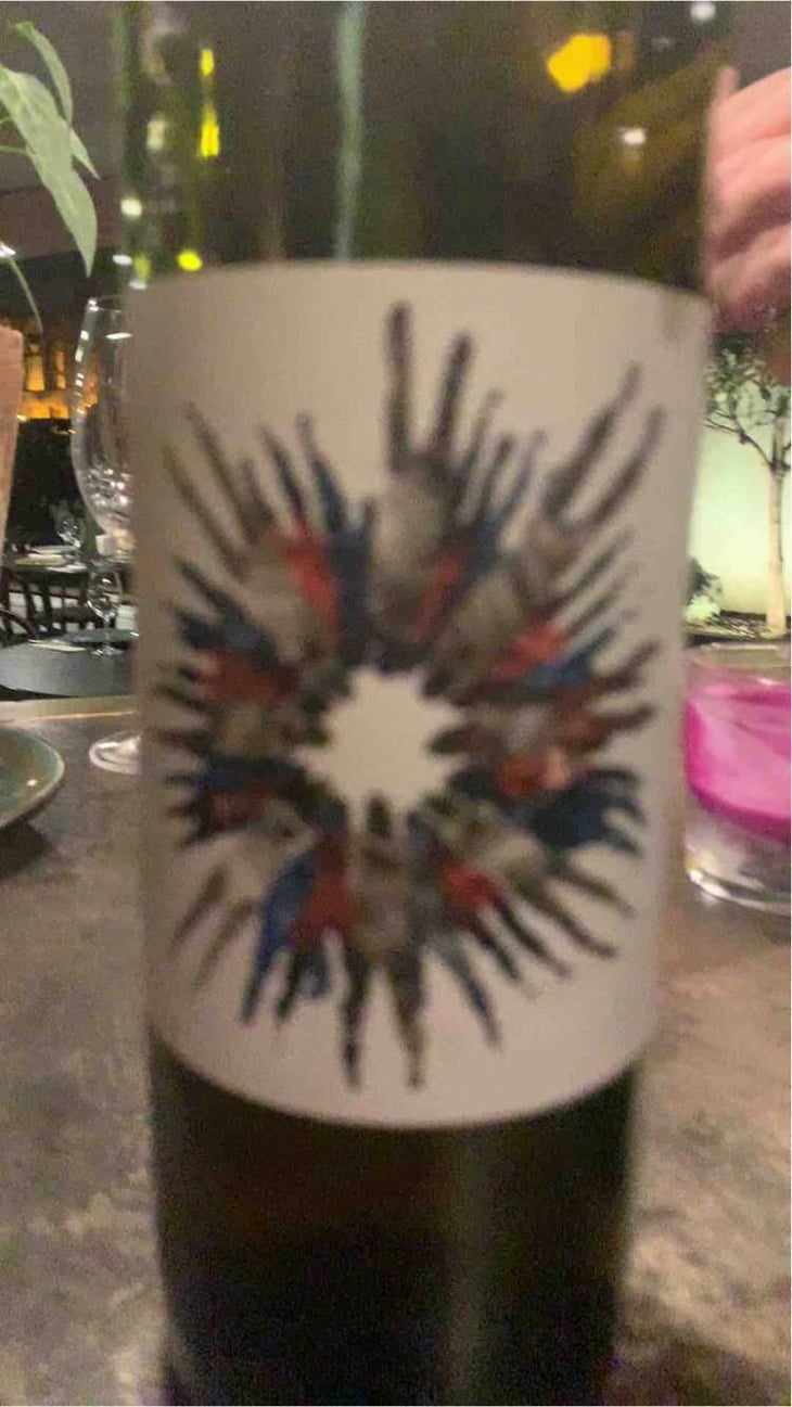 Rkatsiteli - Bua Wines - Alexander & David Buadze 