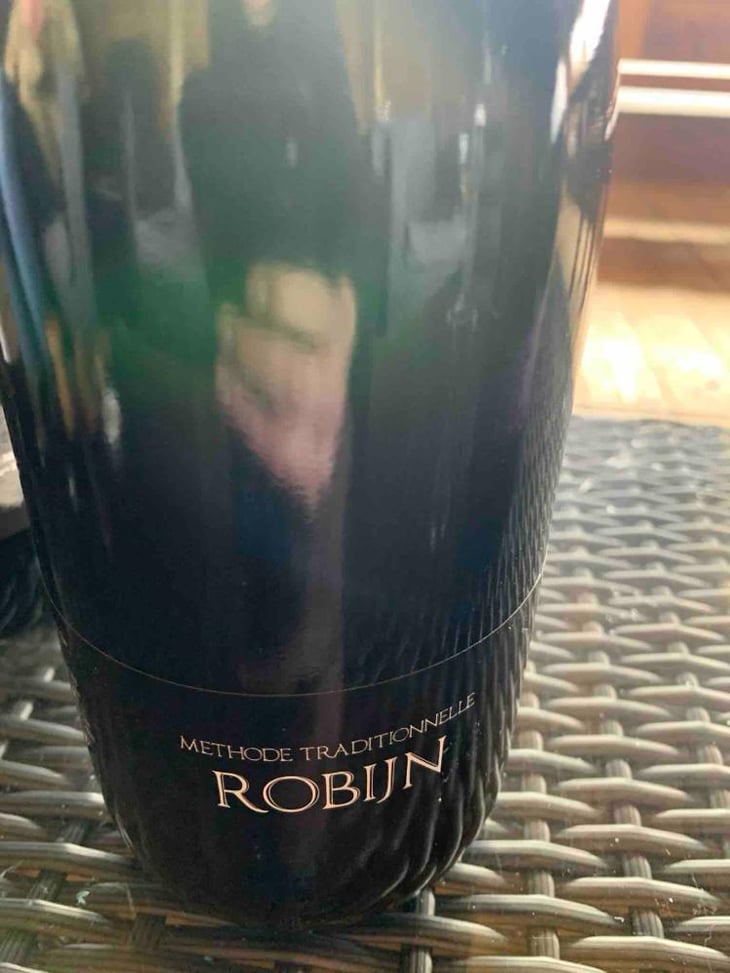 Robijn - Optimbulles - Maxim Geunis & family -2021