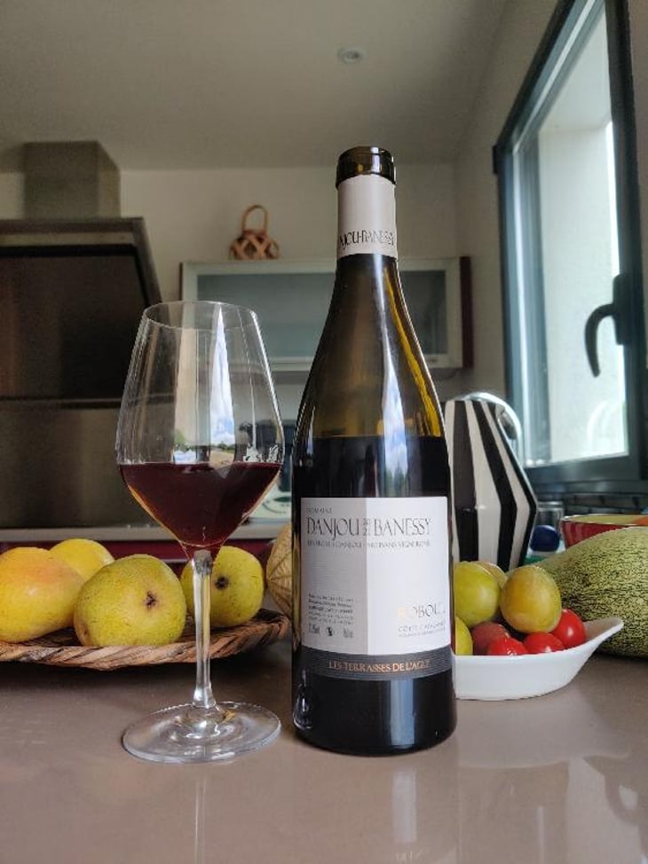Roboul - Domaine Danjou-Banessy - Benoît & Sébastien Danjou 