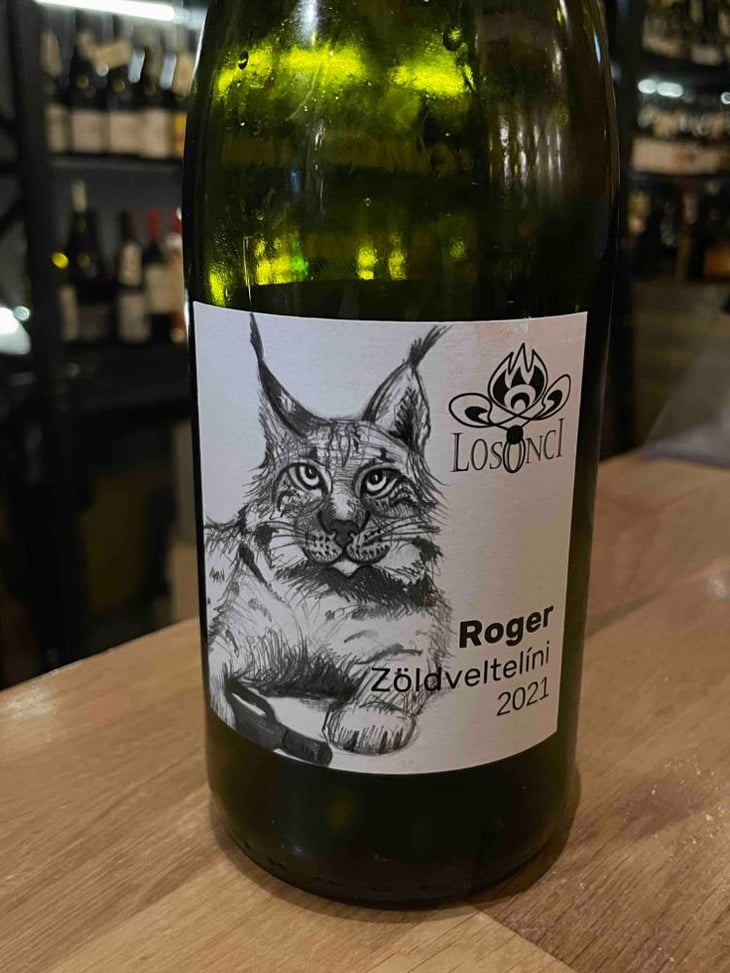 Roger - Losonci Bálint - Bálint Losonci -2021