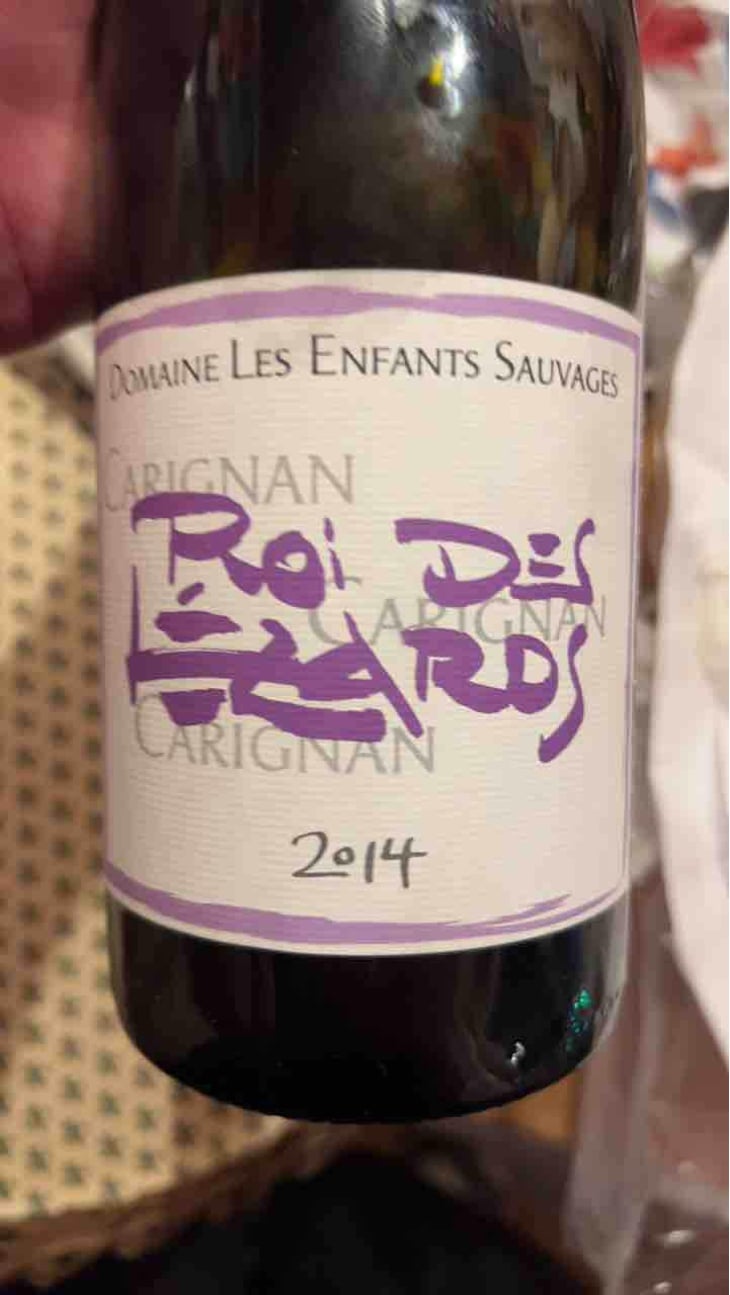 Roi des Lézards - Les Enfants Sauvages - Nikolaus & Caroline Bantlin 