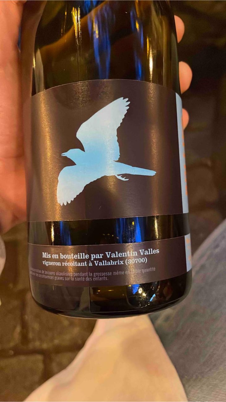 Rollier - Valentin Valles - Valentin Valles 