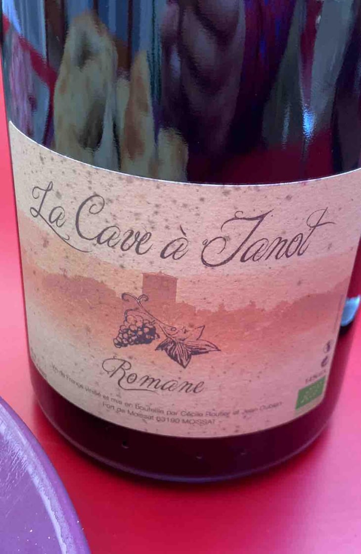 Romane - La Cave À Janot - Cécile Routier & Jean Dubien 