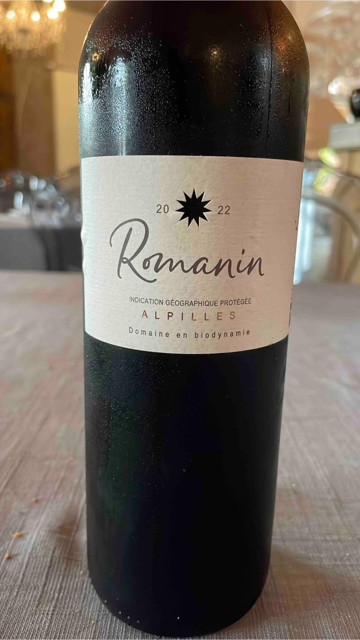 Romanin - Domaine de Romanin - Anne-Marie & Jean-Louis Charmolüe 