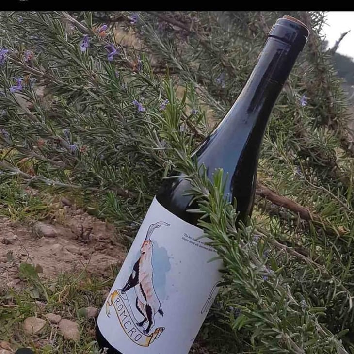 Romero - Celler Ca Foracaime - Sergi Serrano -2021