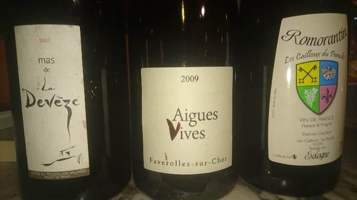 Romorantin - Les Cailloux du Paradis - Claude & Etienne Courtois 