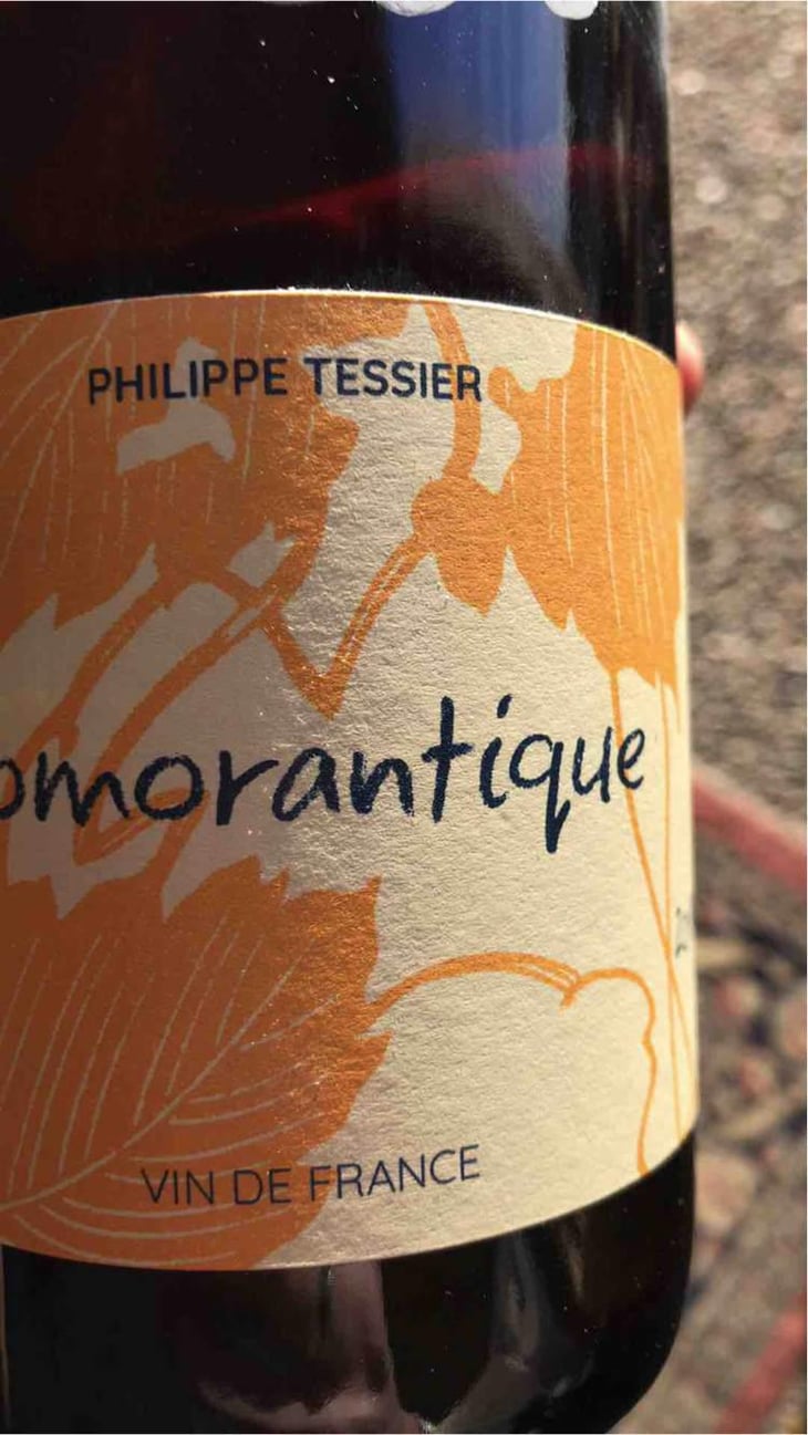 Romorantique - Philippe Tessier - Philippe et Simon Tessier 