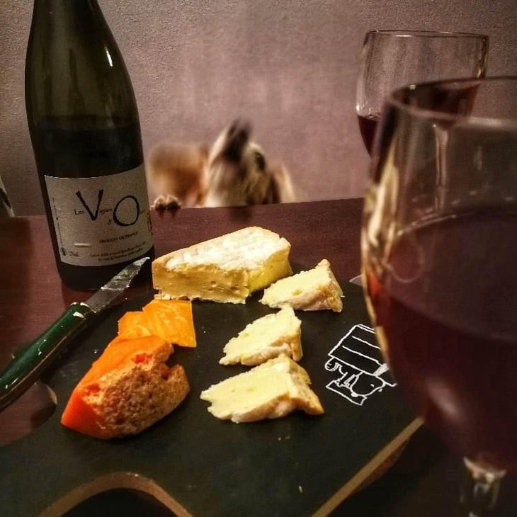 Ronds Rouges - Les Vignes d'Olivier - Olivier Cohen 