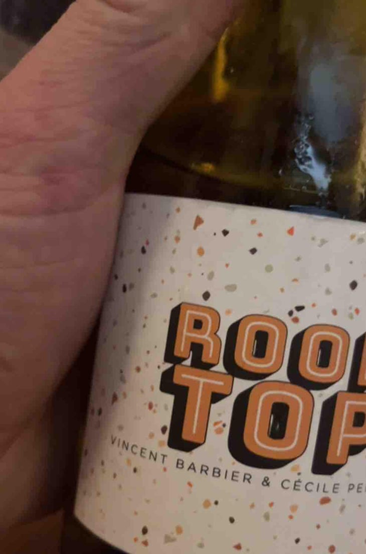 Rooftop - Les Trois Toits - Vincent Barbier & Cécile Perraud -2020