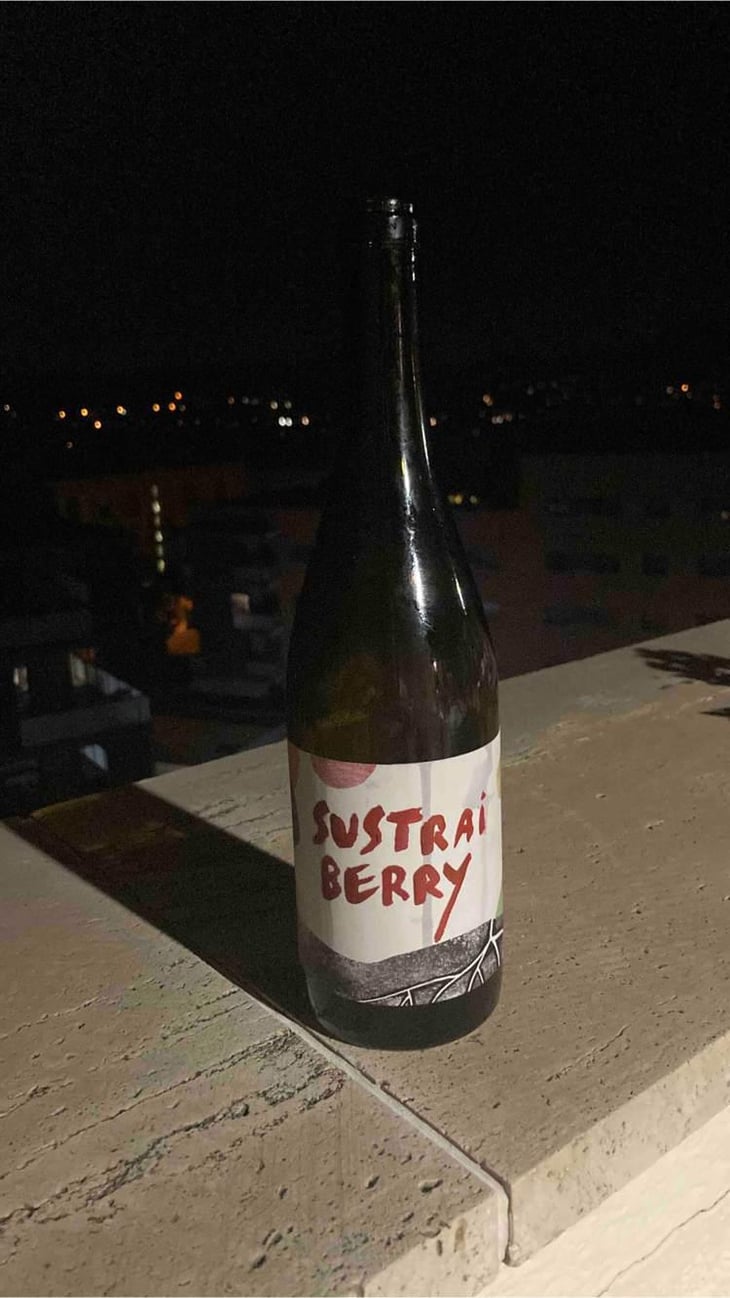 Sustrai Berry - Bodegas Aristu - Ibon Ollo -2021