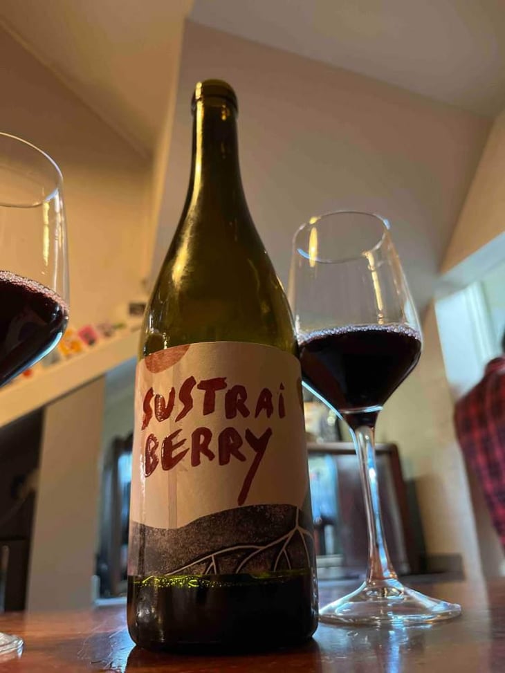 Sustrai Berry - Bodegas Aristu - Ibon Ollo -2021