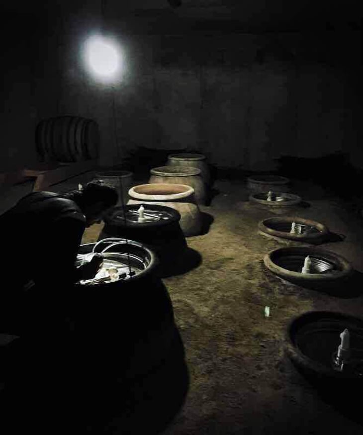 Ollos de Roque - Fazenda Agricola Augalevada - Iago Garrido -2019