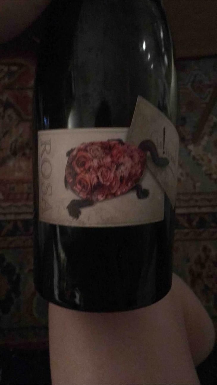 Rosa - Mornington Peninsula - Quealy 